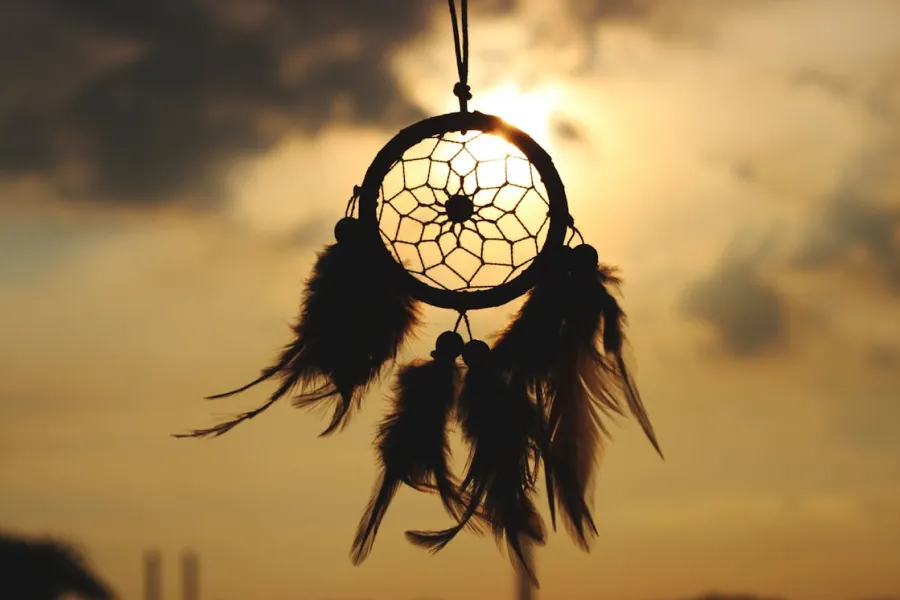 Emotional Wellness Tips