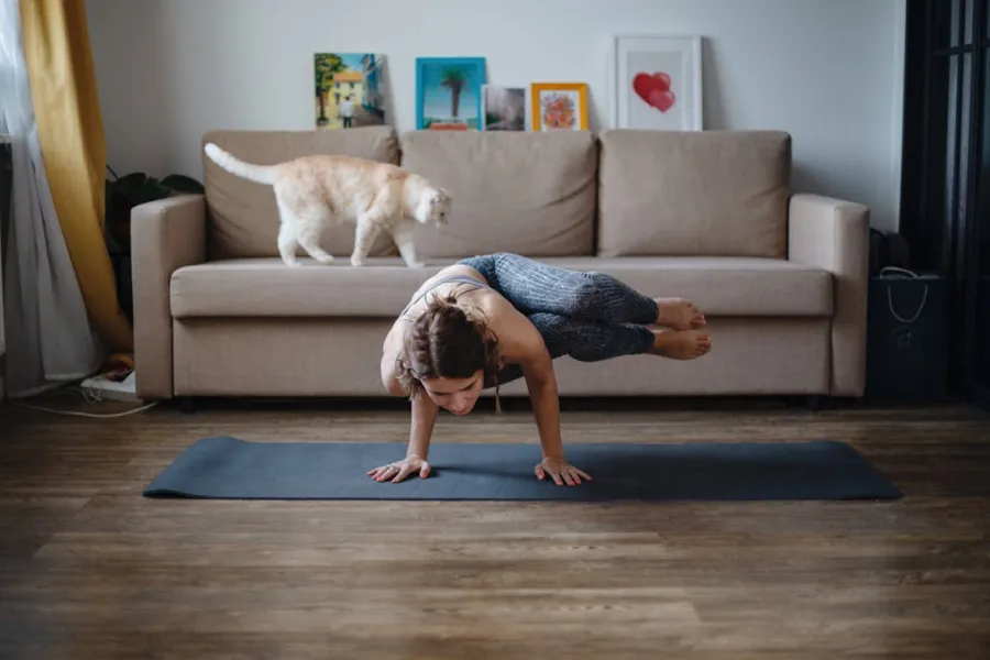 Flexibility and Strength Yoga for Beginners
